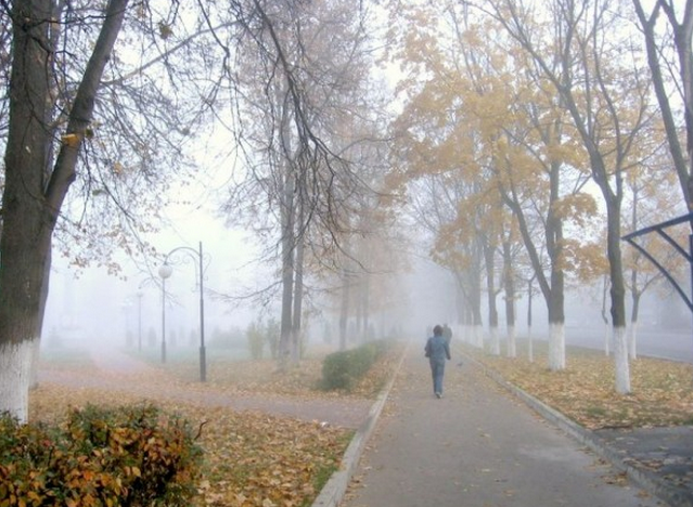 Ожидается сильный туман в субботу на Ставрополье