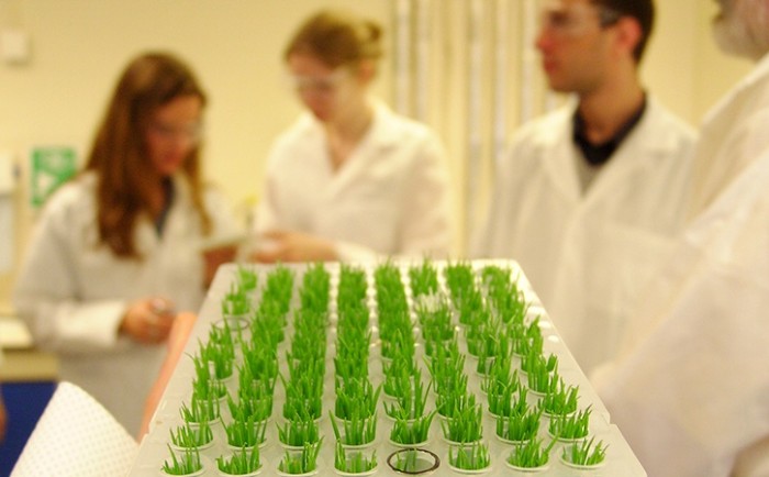 Швейцарская компания создаст на Ставрополье лабораторию исследования семян