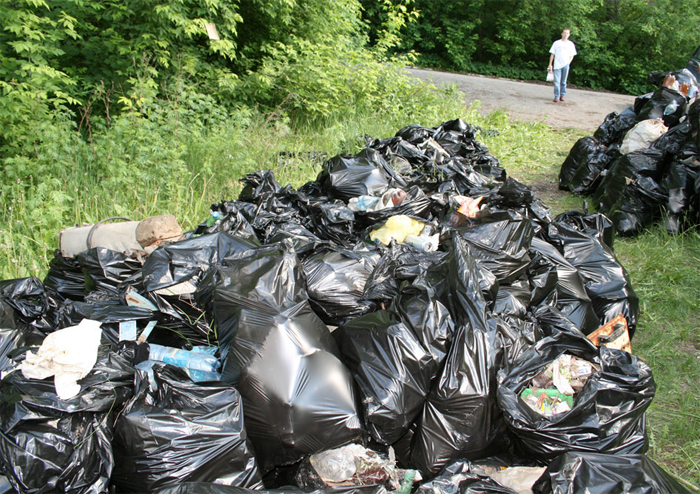 Глава региона пригласил чиновников убрать мусор вдоль дорог