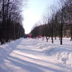 Парк Победы — Ставрополь (Фото 5)